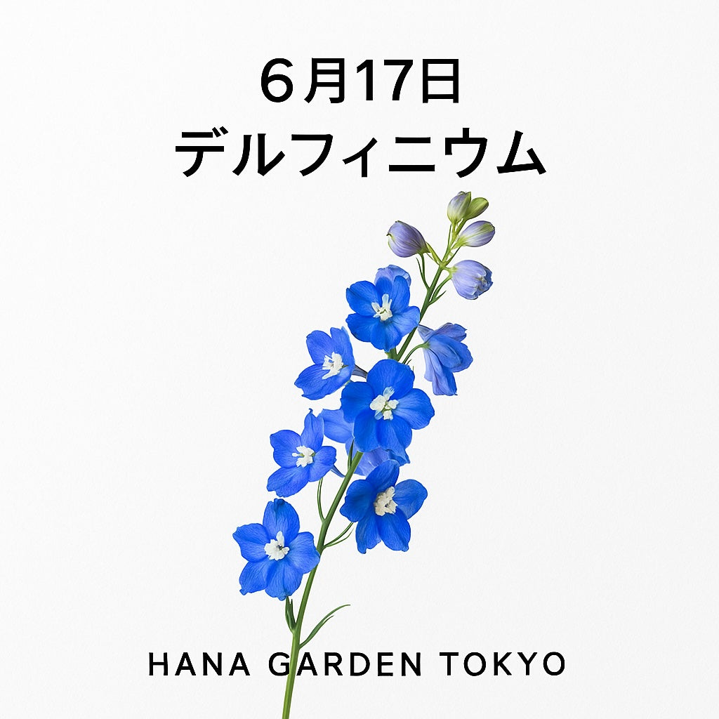 花言葉 6月17日の誕生花はデルフィニウム｜空へ向かって伸びる希望の青 – HANA