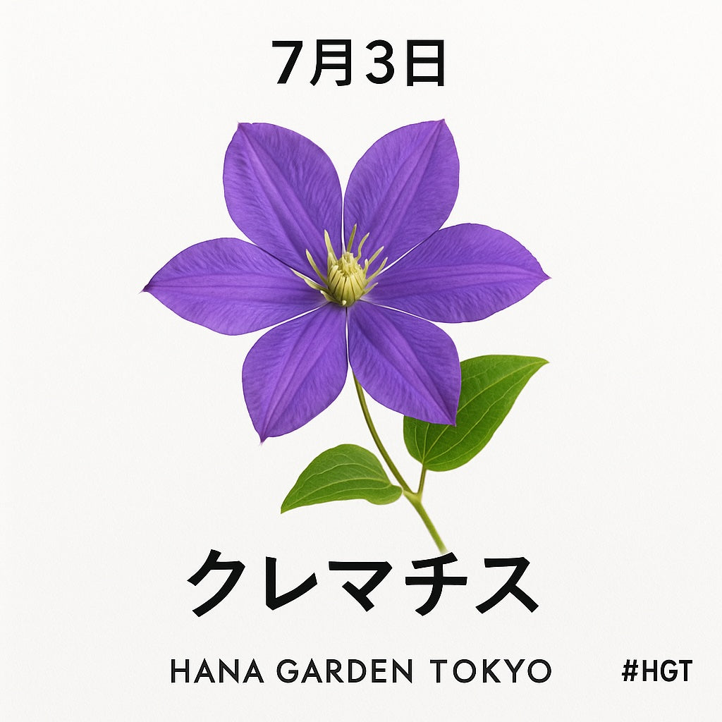 月が注ぐ花ページ 春の散歩のお供にぴったり。人気連載が書籍になりました『街で見かける