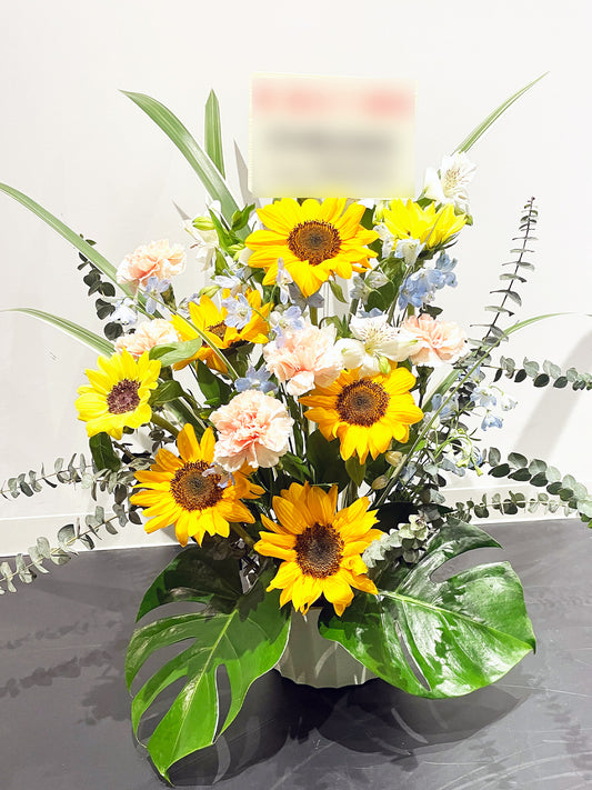 ヒマワリ&モンステラ・トロピカルシャイン