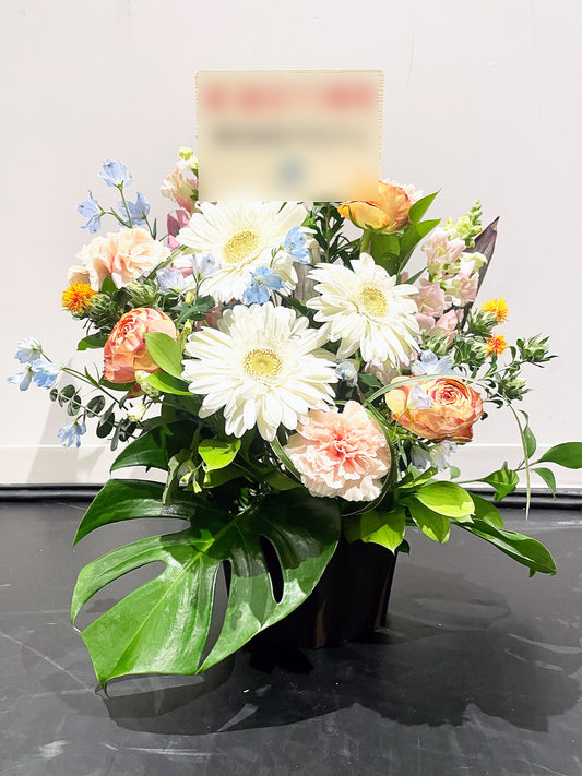 ホワイトガーベラ&カーネーション・ナチュラルブリーズ