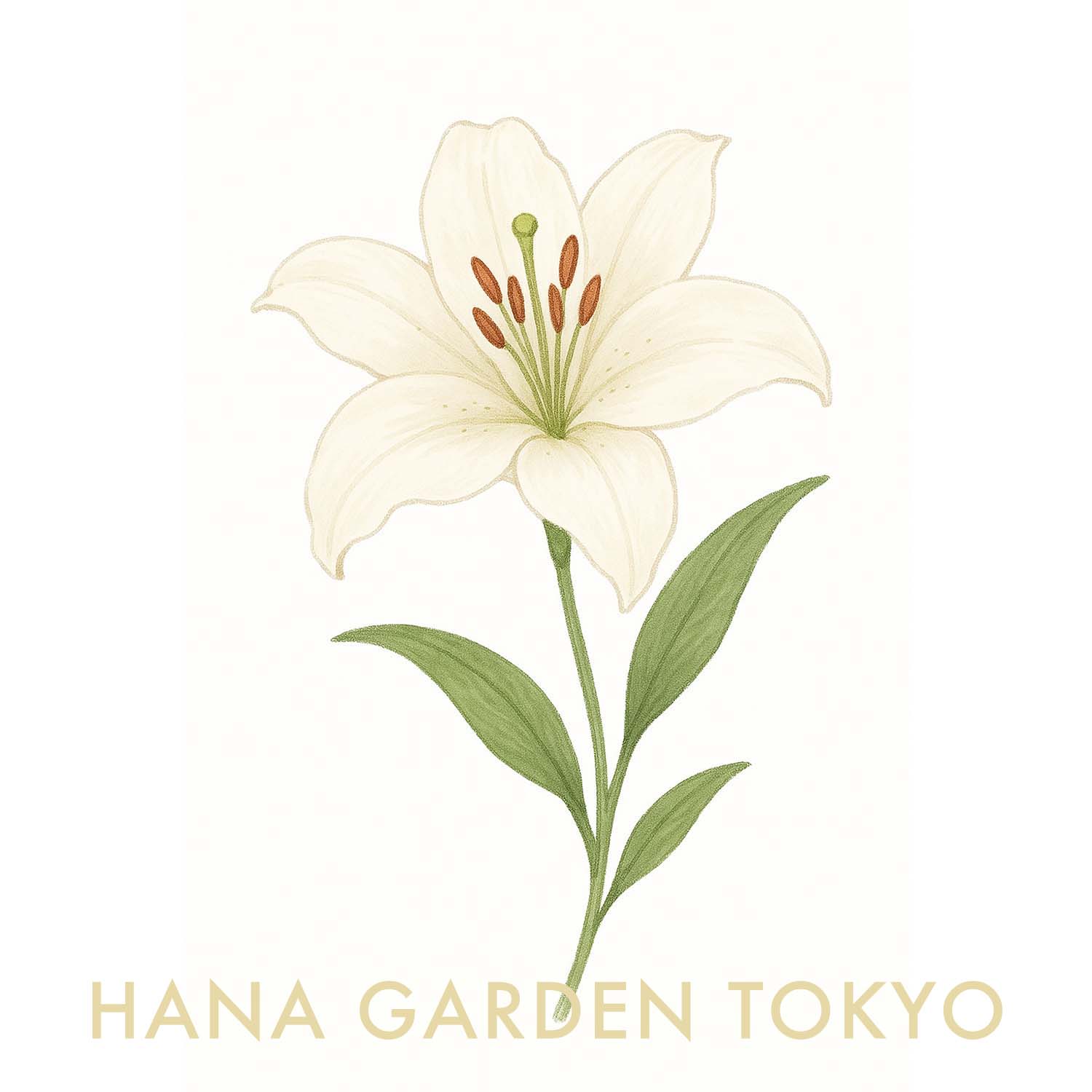 花言葉コラム vol.1｜ユリ – HANA GARDEN TOKYO