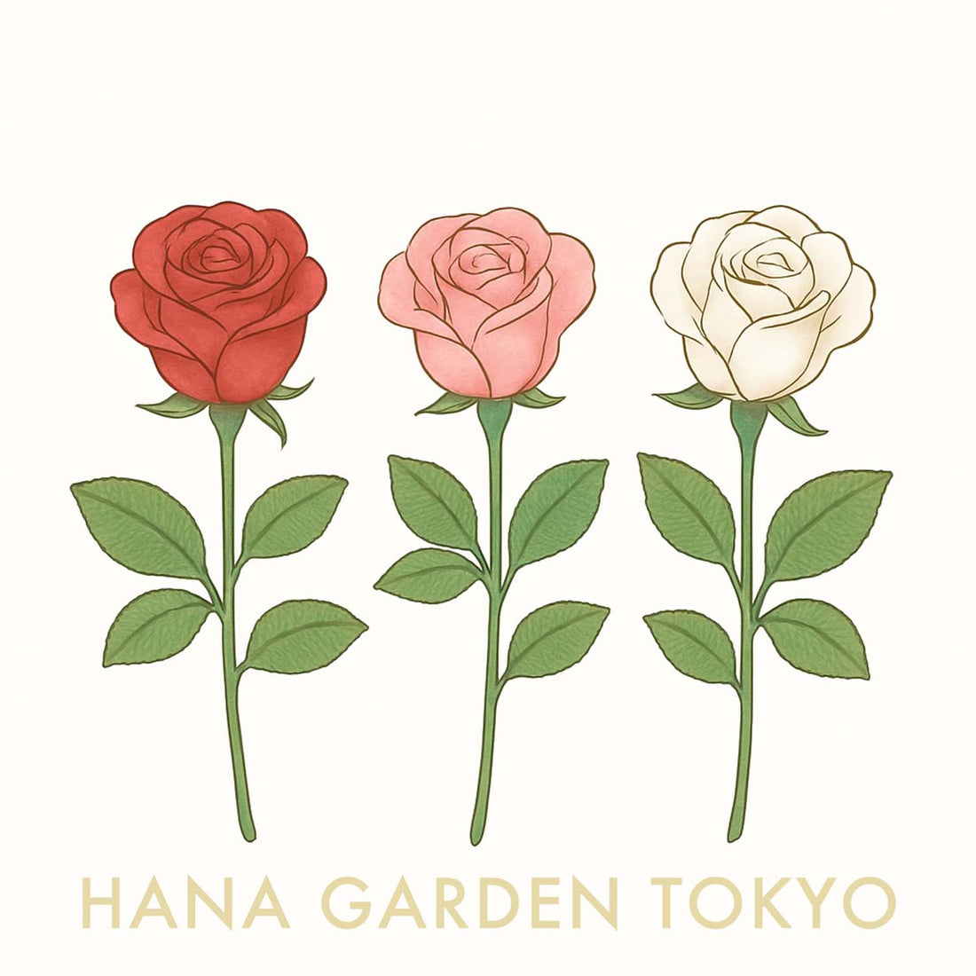 バラの花のイラスト｜HANA GARDEN TOKYO