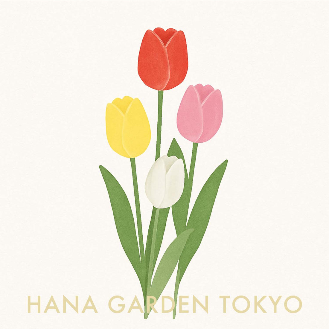 チューリップの花のイラスト｜HANA GARDEN TOKYO