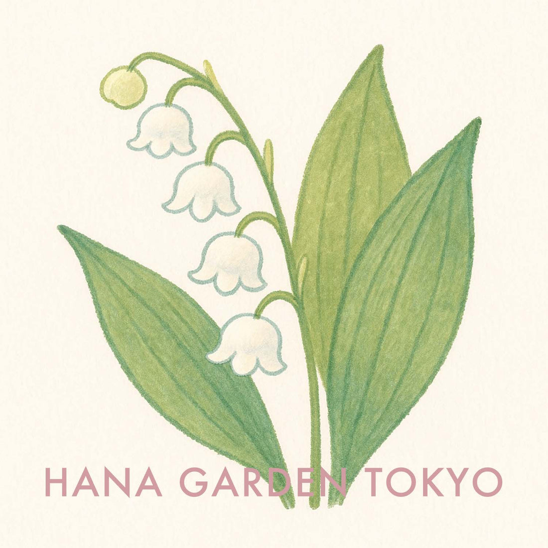 スズランの花のイラスト｜HANA GARDEN TOKYO
