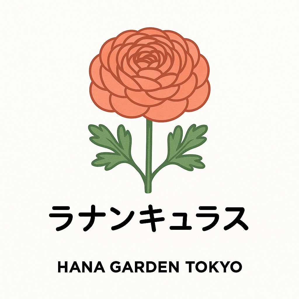 ラナンキュラスの花のイラスト｜HANA GARDEN TOKYO