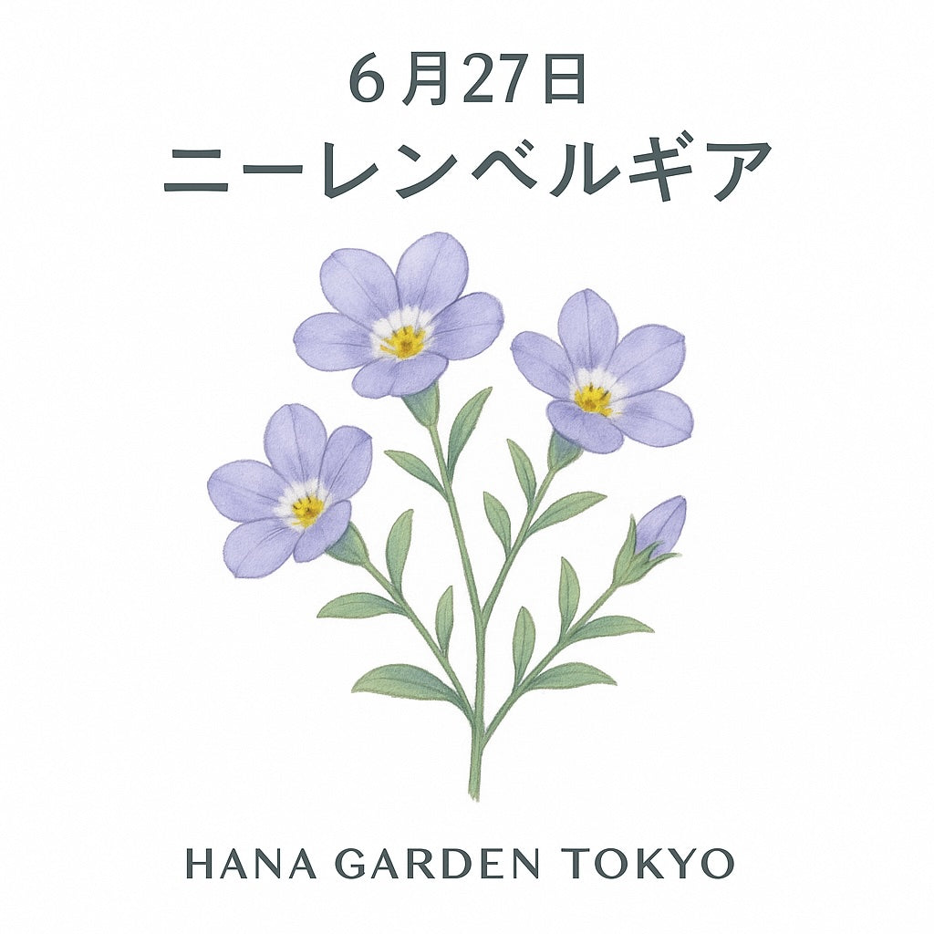 花 家に咲く花 今年は暖かく花の咲く ペースが早い！ もう少しゆっくりで