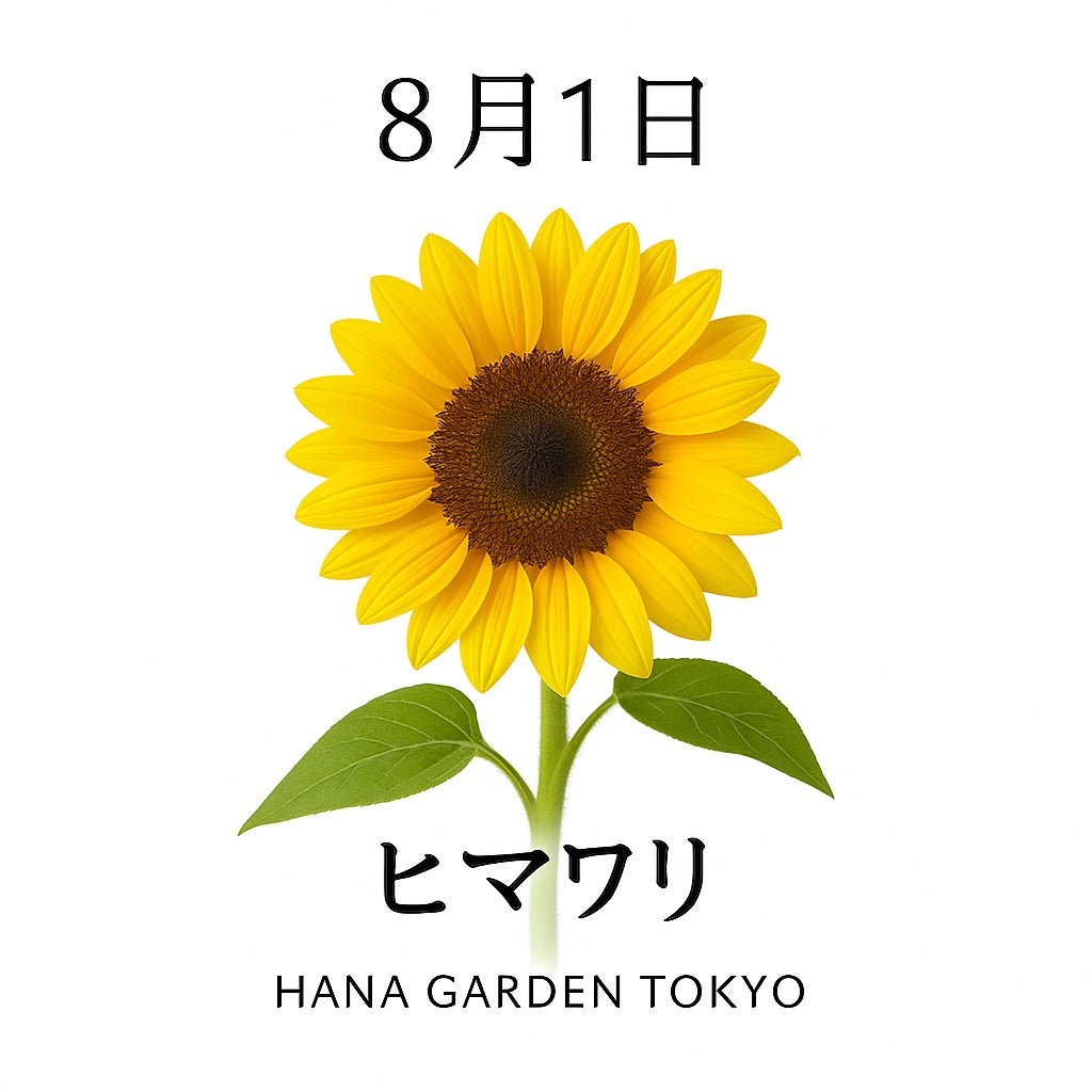 8月1日の誕生花はヒマワリ｜太陽のように明るく元気を届ける夏の象徴