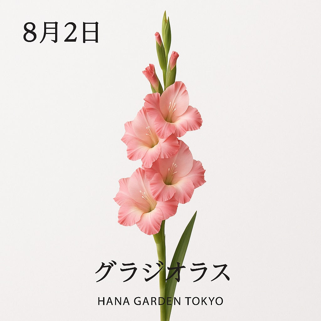 8月2日の誕生花はグラジオラス｜まっすぐに想いを届ける凛とした花姿