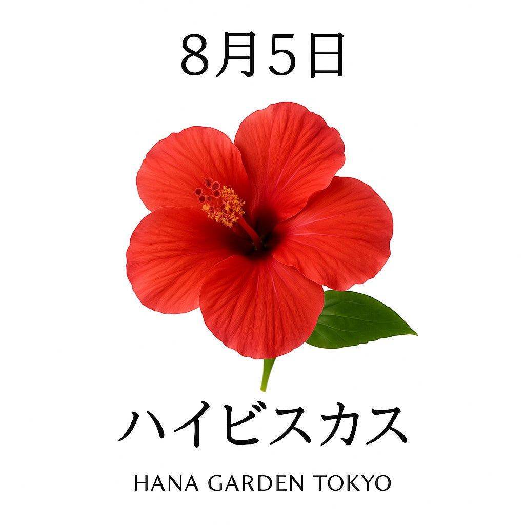 8月5日の誕生花はハイビスカス｜ひと夏の情熱と開放感を象徴する花