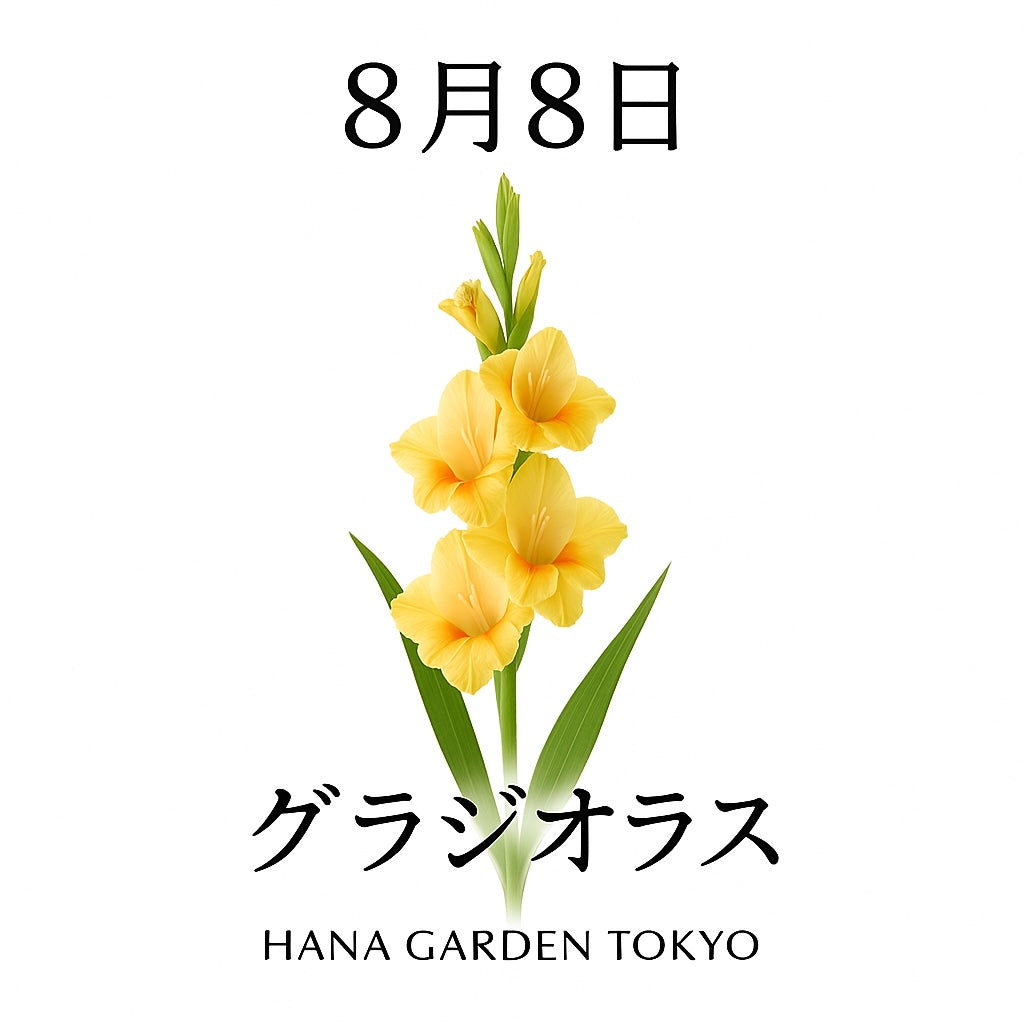 8月8日の誕生花はグラジオラス｜まっすぐに伸びる姿が凛々しい夏の花