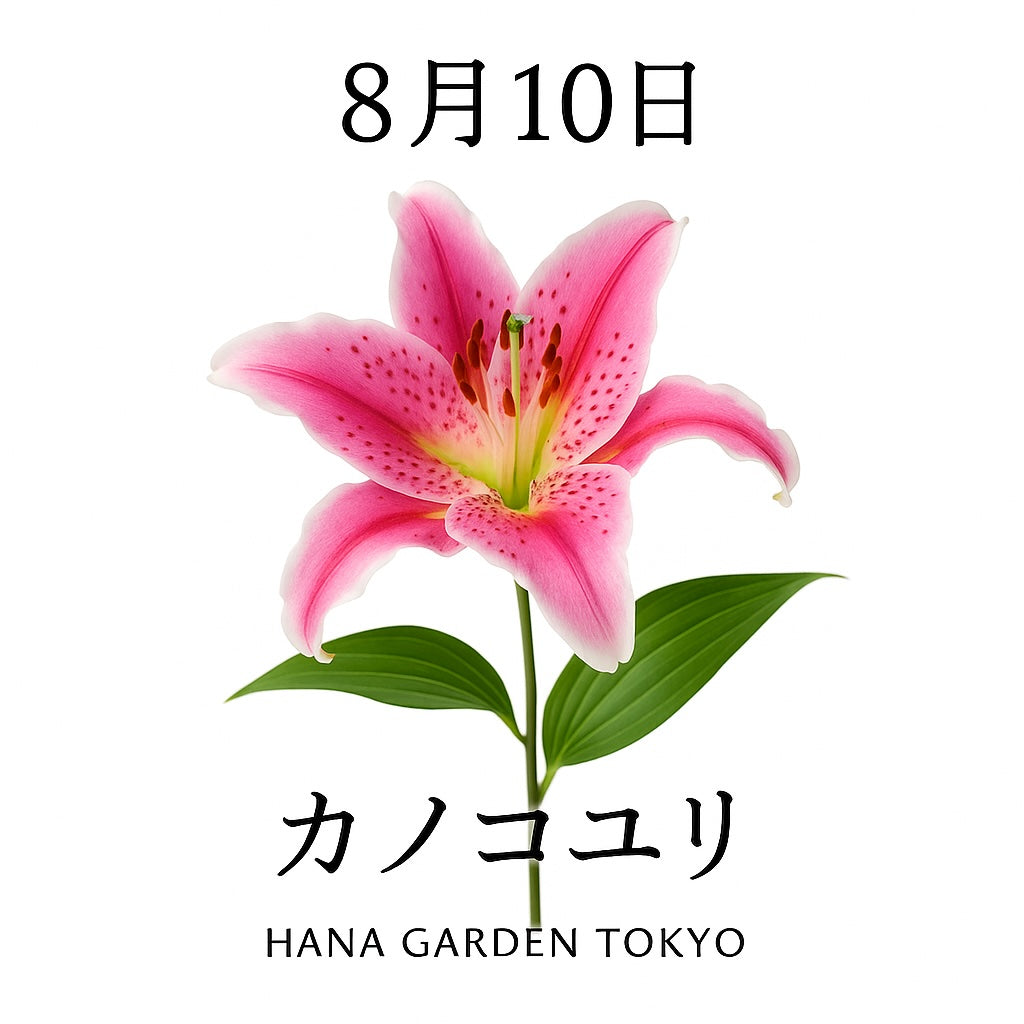 8月10日の誕生花はカノコユリ｜優美で上品な夏の女王