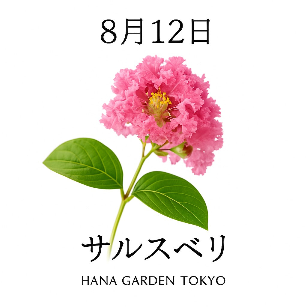 8月12日の誕生花はサルスベリ｜百日間咲き続ける夏の長寿花