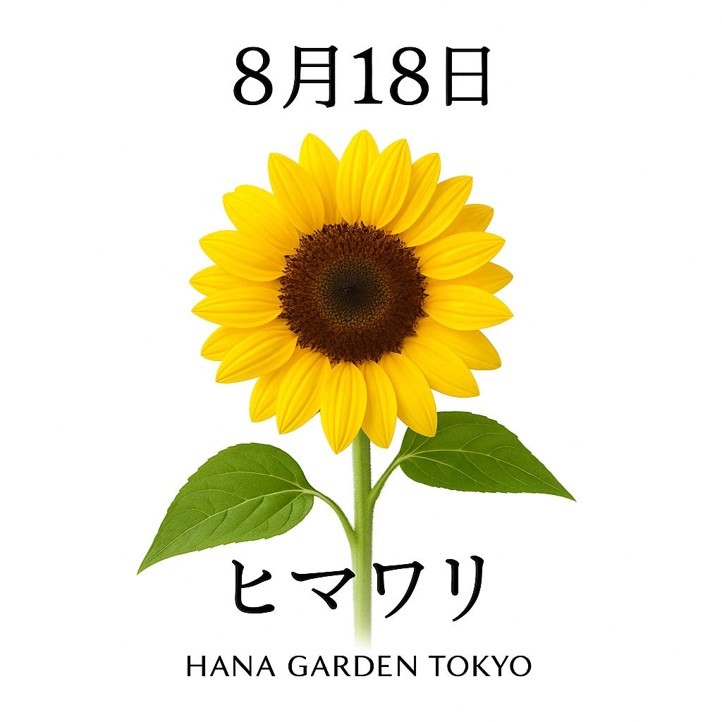 8月18日の誕生花はヒマワリ｜太陽のように明るく希望を与える花