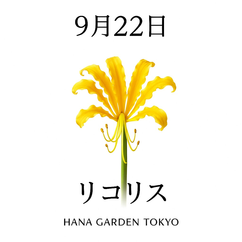 9月22日の誕生花はリコリス｜黄金色に輝く曼珠沙華
