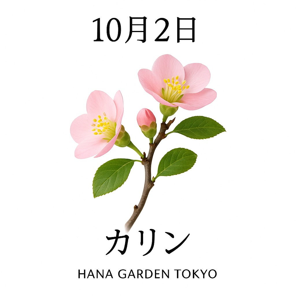 10月2日の誕生花はカリン｜香り高く実を結ぶ木