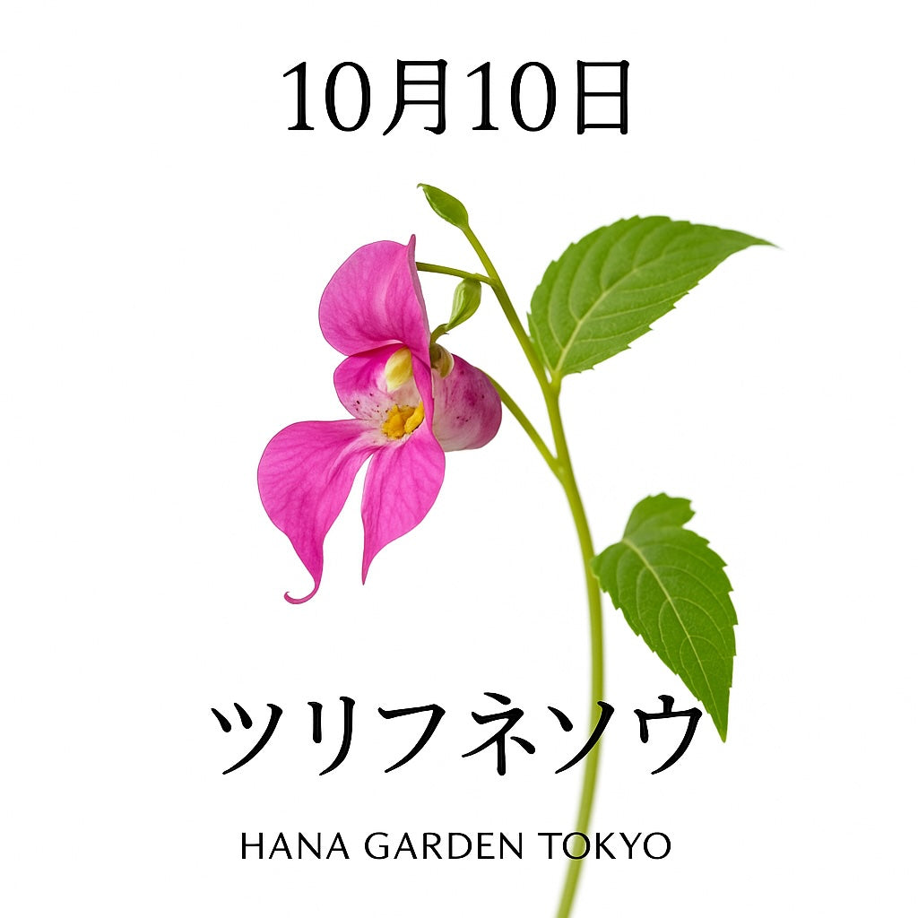10月10日の誕生花はツリフネソウ｜秋の水辺を彩る優雅な花