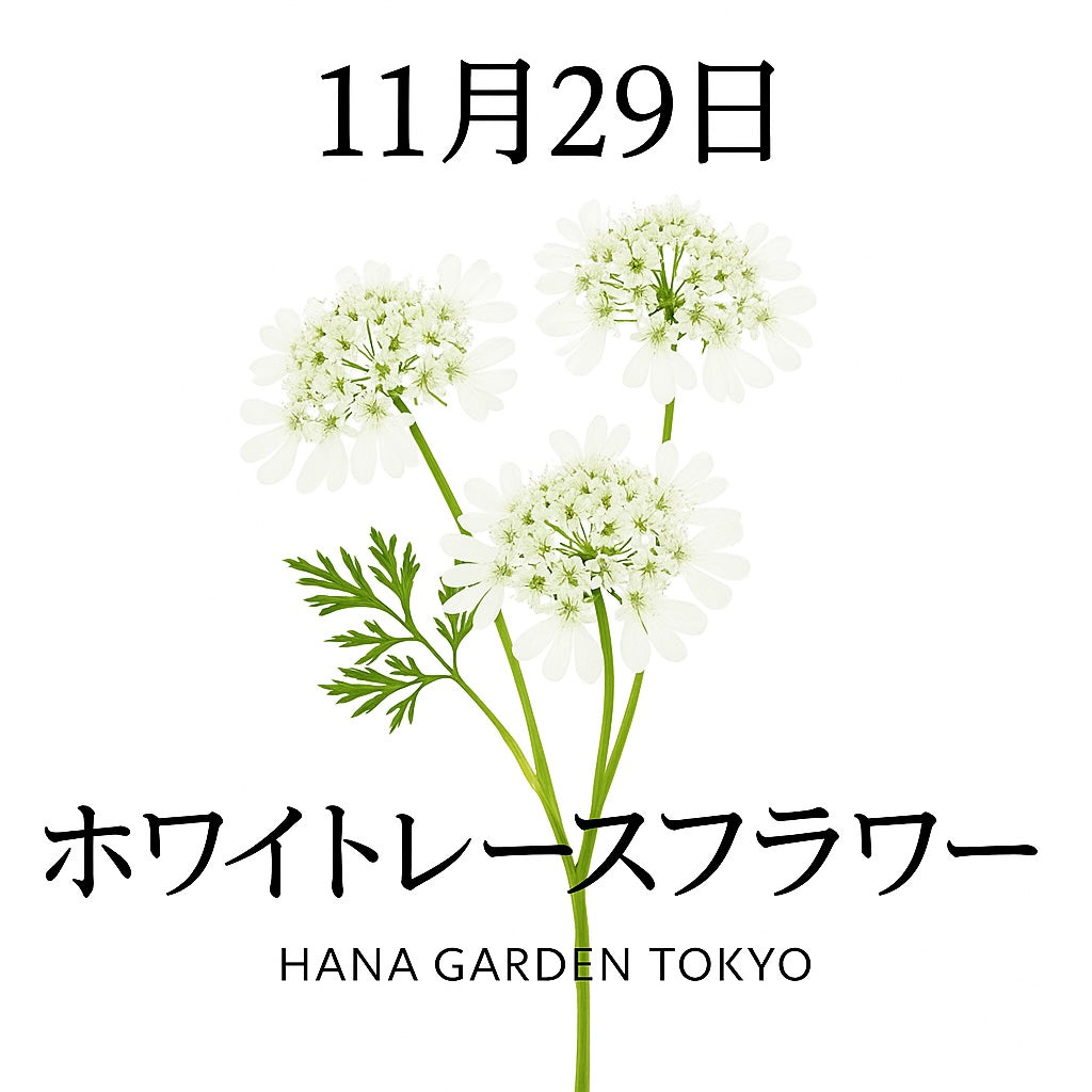 ホワイト木製パーテーション 2連 花模様レース付き 楽天市場】花柄（間仕切り｜インテリア・寝具・収納）の通販