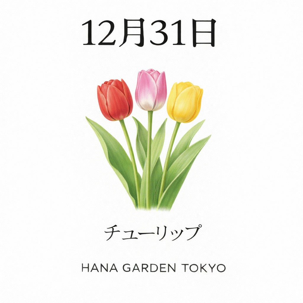 12月31日の誕生花はチューリップ｜新しい始まりを告げる花
