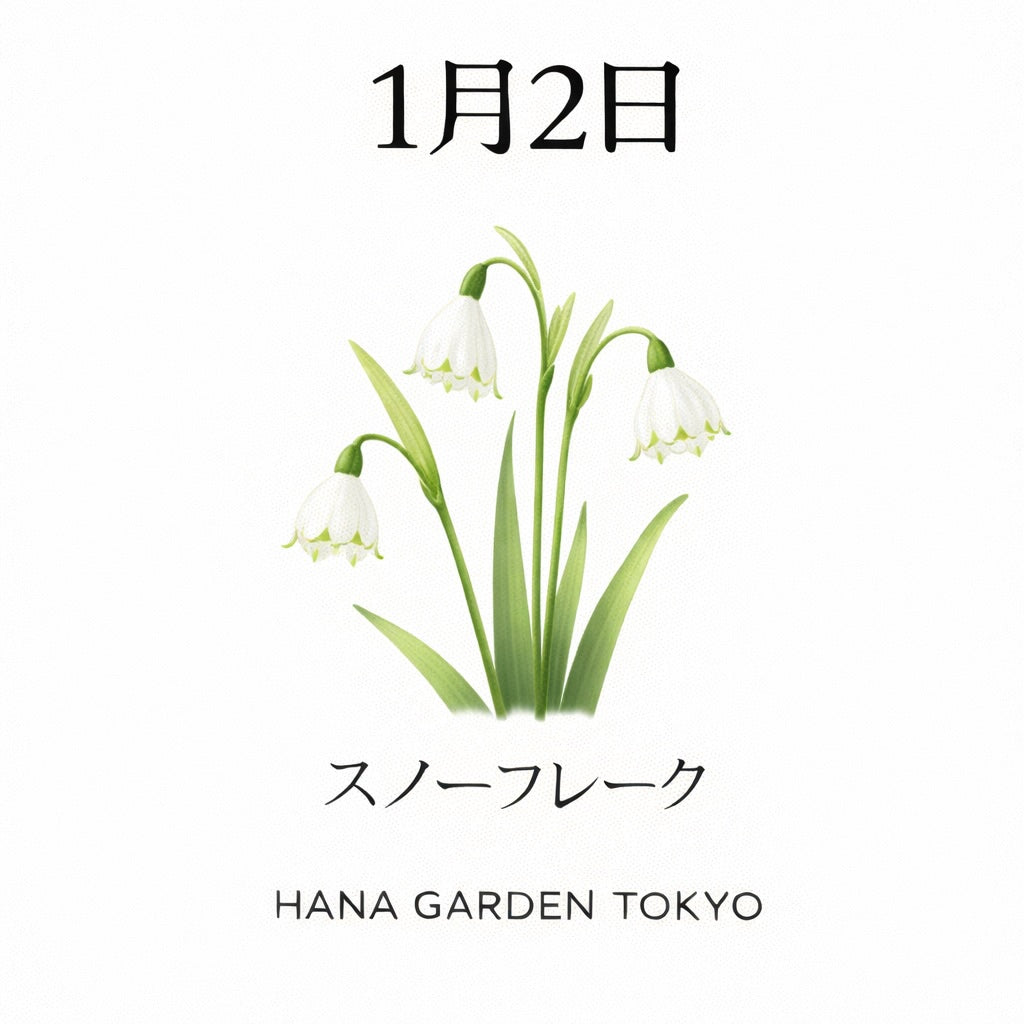 1月2日の誕生花はスノーフレーク｜静かに始まる、新しい日々
