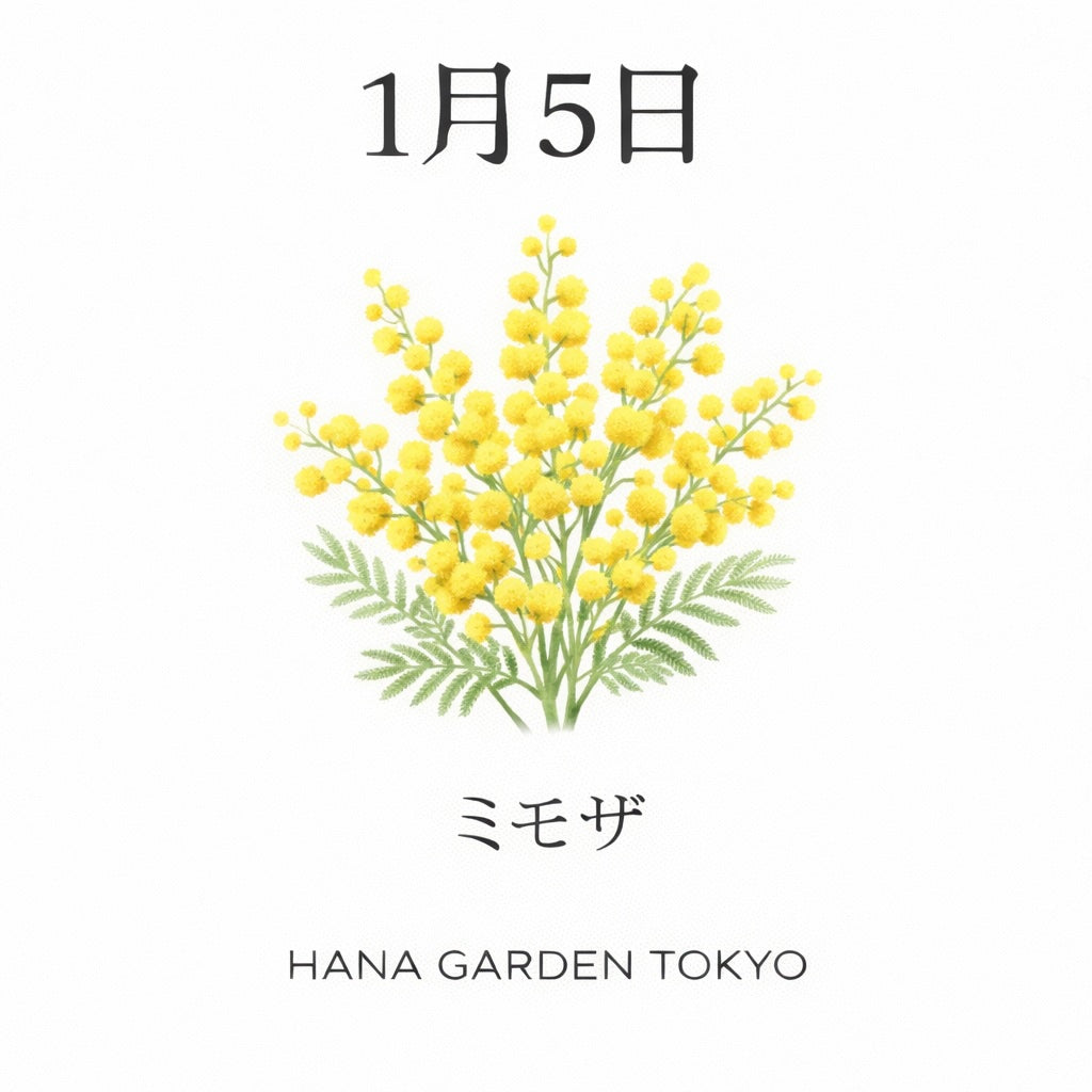 1月5日の誕生花はミモザ｜やさしさと希望をつなぐ花