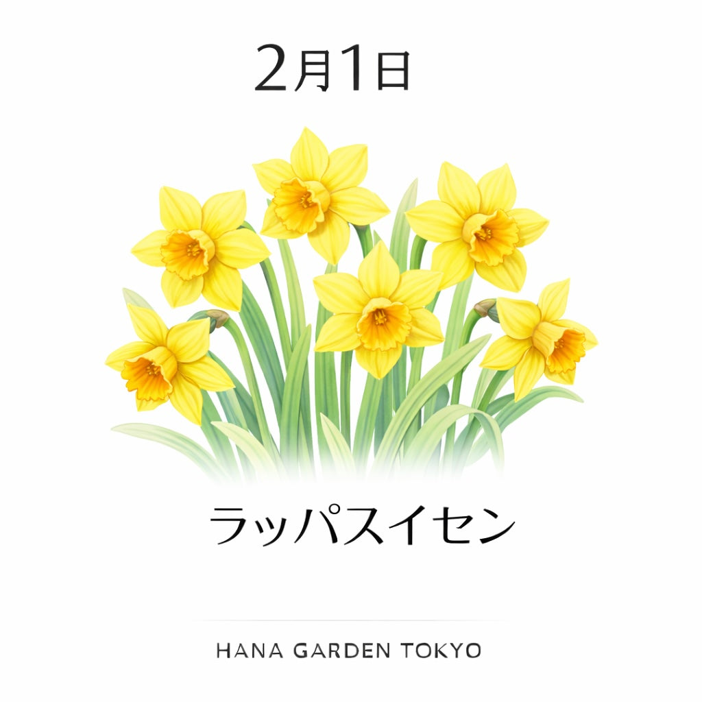 2月1日の誕生花はラッパスイセン｜希望を告げる春のしるし