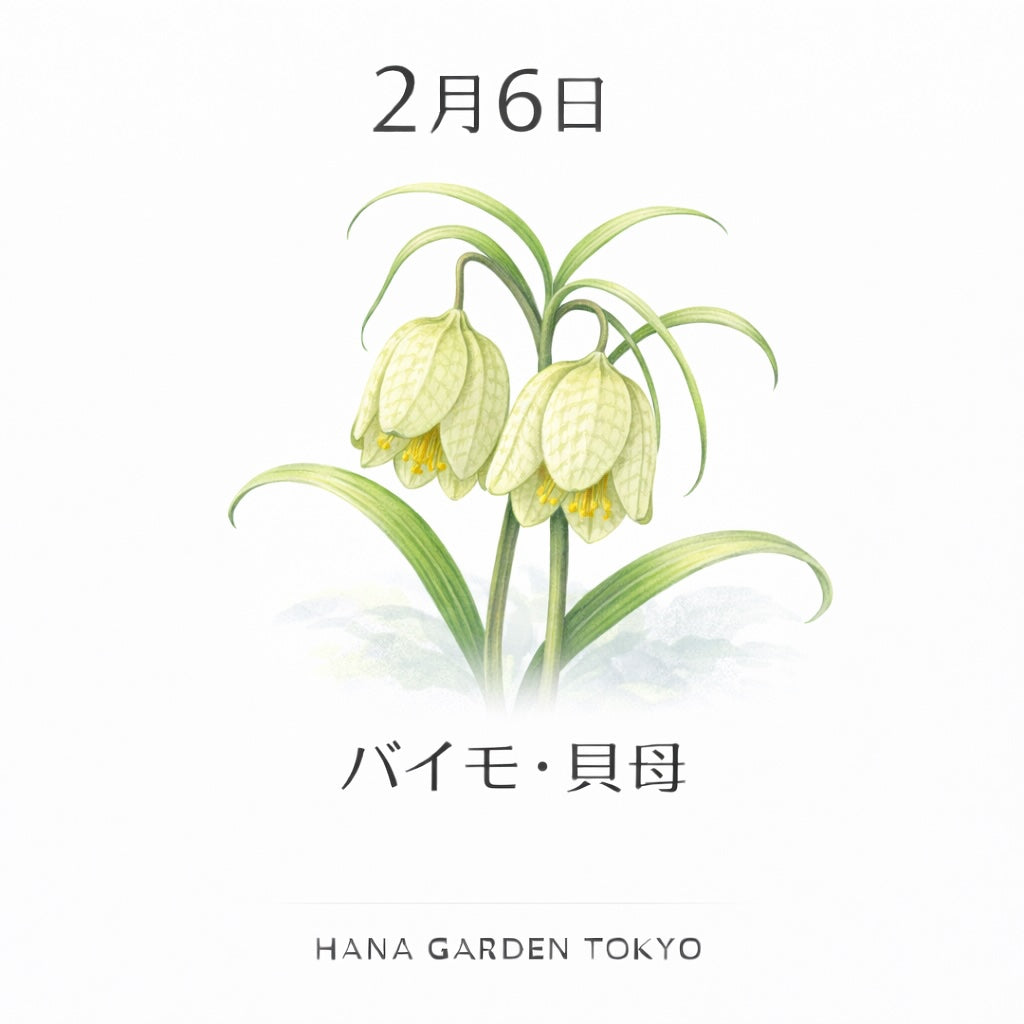 2月6日の誕生花はバイモ（貝母）｜静かな想いを胸に秘めて