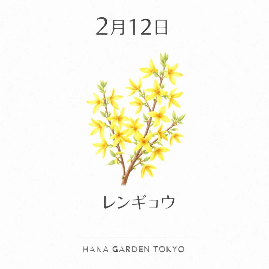2月12日の誕生花はレンギョウ｜春の訪れを告げる鮮やかな光