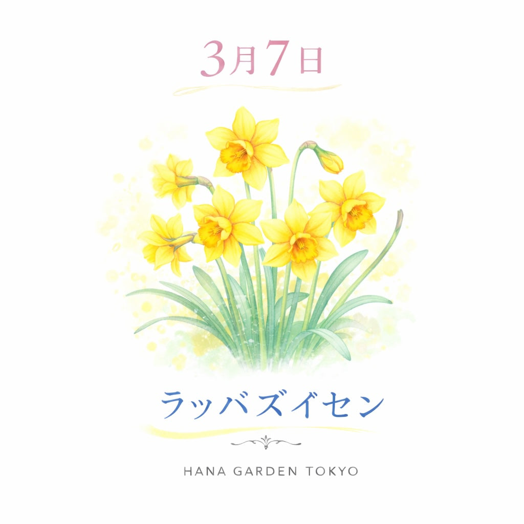 3月7日の誕生花はラッパズイセン｜春を告げる明るい黄色の花