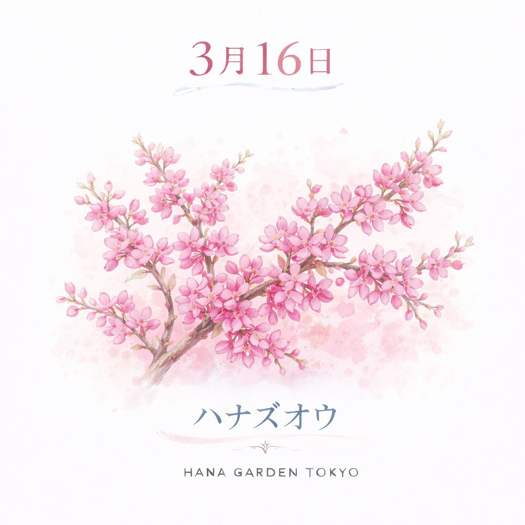 3月16日の誕生花はハナズオウ｜春を彩る鮮やかな花木