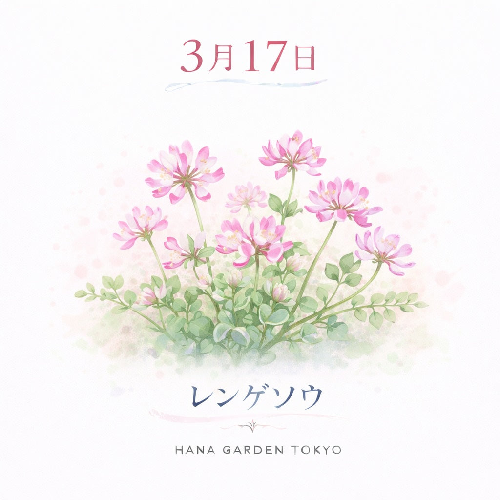 3月17日の誕生花はレンゲソウ｜春の田んぼを彩るやさしい花