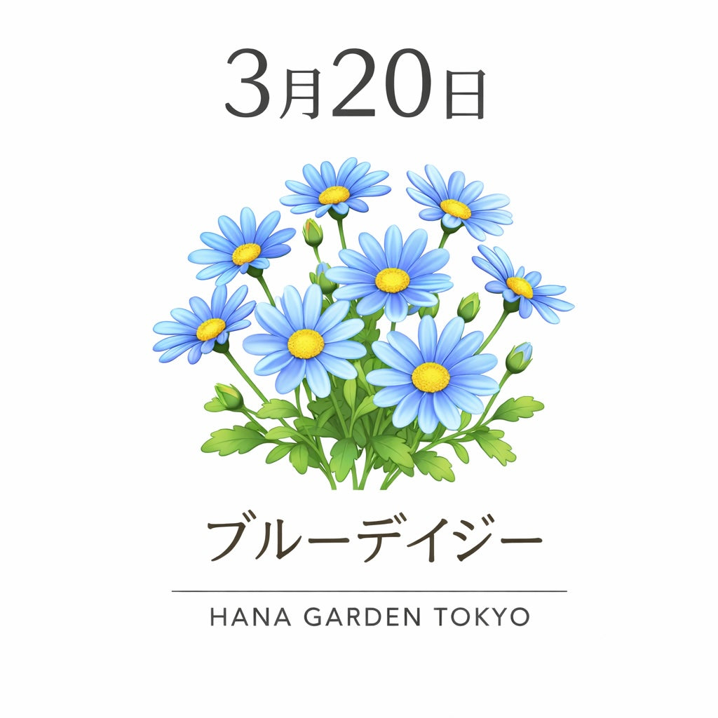 3月20日の誕生花はブルーデイジー｜澄んだ青が印象的な可憐な花