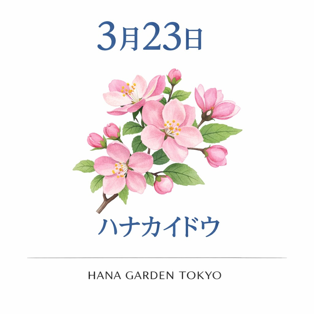 3月23日の誕生花はハナカイドウ｜やさしく華やぐ春の花