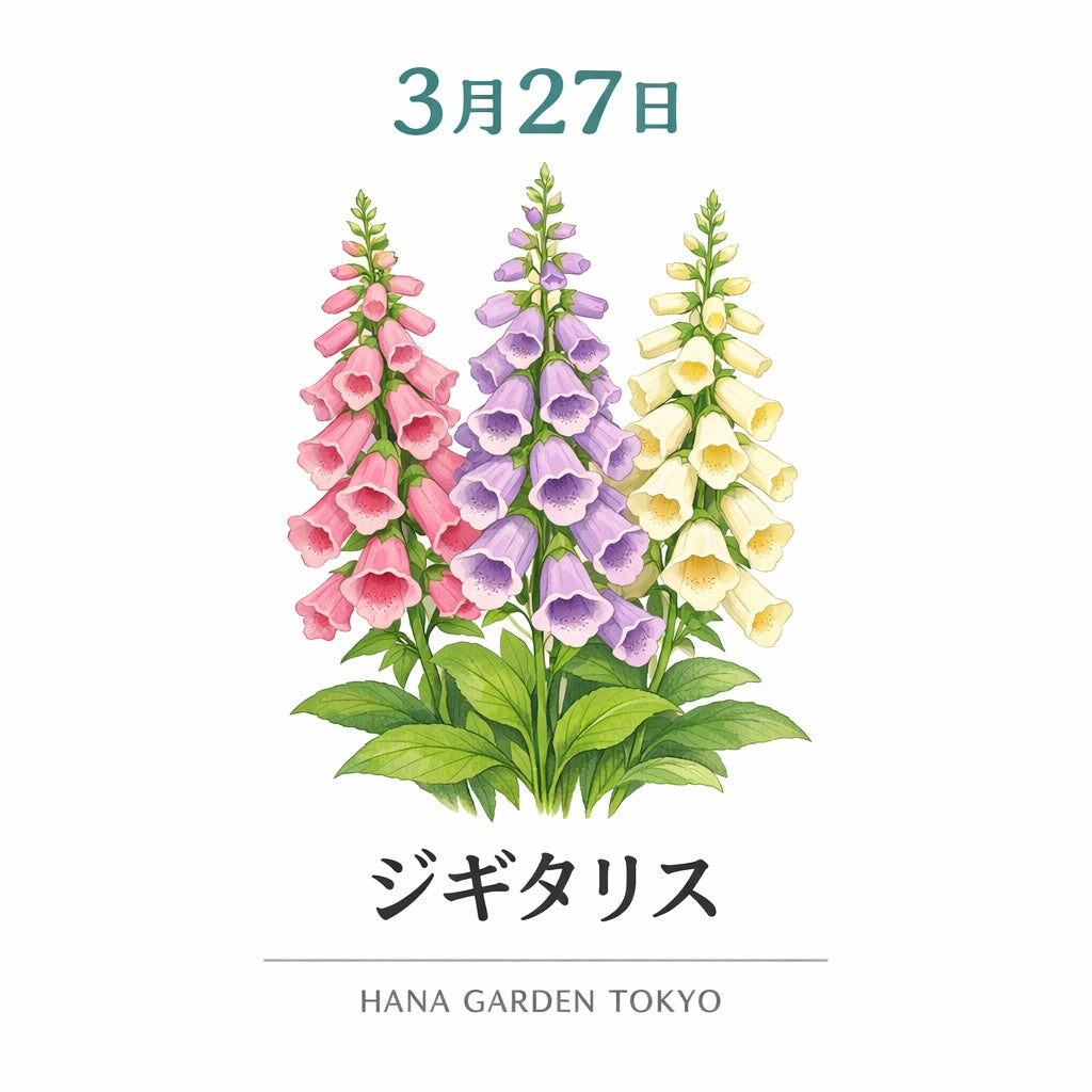 3月27日の誕生花はジギタリス｜存在感のある華やかな花